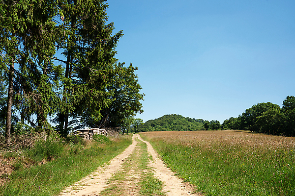 포토 JPG 해외이미지 식물 유럽 길 여행 자국 자연 하늘 산 독일 파노라마 풍경 사람없음 야외 관광지 환경 트래킹 하이킹 시골 오솔길 생태계 내추럴 방법 산맥 해외포토 나라 레저 촬영기법 파일형식 이미지허브