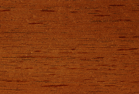 포토 JPG 해외이미지 나무 디자인 백그라운드 패턴 건축양식 자연 벽지 탁자 표면 추상 바닥 사람없음 내부 건물 목재 장식 빛 갈색 검은색 수확 골동품 흰색 판넬 거친 고급 널 매끈함 낟알 타일 묘사 유기농 질감 잡동사니 내추럴 수목 합판 해외포토 식물 건축물 웰빙 건축 컬러 가구 컨셉 무늬 농업 재료 감각 생태계 파일형식 이미지허브