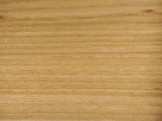 포토 JPG 해외이미지 나무 디자인 외관 벽 백그라운드 패턴 건축양식 자연 표면 추상 바닥 사람없음 내부 목재 장식 갈색 어둠 견과류 판넬 거친 널 낟알 질감 나무바닥 잡동사니 내추럴 수목 옛날 합판 해외포토 식물 건축 컬러 무늬 재료 생태계 파일형식 이미지허브