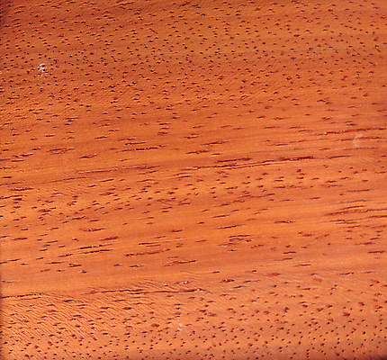 포토 JPG 해외이미지 나무 디자인 외관 벽 백그라운드 패턴 건축양식 자연 표면 추상 바닥 사람없음 내부 목재 장식 갈색 어둠 견과류 판넬 거친 널 낟알 질감 나무바닥 잡동사니 내추럴 수목 옛날 합판 해외포토 식물 건축 컬러 무늬 재료 생태계 파일형식 이미지허브