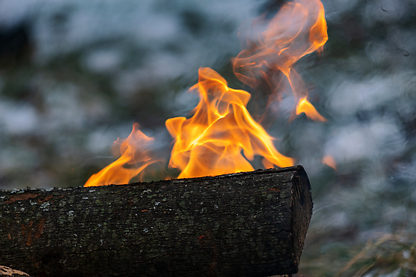 포토 JPG 해외이미지 백그라운드 겨울 오렌지 불꽃 따뜻함 사람없음 야외 목재 빛 에너지 뜨거움 장작 모닥불 매움 상승 통나무 나무껍질 연소 화상 해외포토 나무 계절 컨셉 과일 재료 불 껍질 맛 상처 파일형식 이미지허브