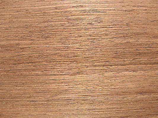 포토 JPG 해외이미지 나무 외관 종이 선 벽 가구 백그라운드 패턴 건축양식 자연 벽지 표면 추상 바닥 사람없음 내부 목재 장식 회색 판넬 엔지니어 제조 널 유기농 질감 목공예 내추럴 수목 옛날 합판 해외포토 식물 웰빙 건축 컬러 생활용품 무늬 재료 기술자 공예 생태계 파일형식 이미지허브