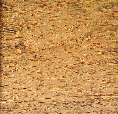 포토 JPG 해외이미지 나무 디자인 외관 벽 백그라운드 패턴 건축양식 자연 표면 추상 바닥 사람없음 내부 목재 장식 갈색 어둠 견과류 판넬 거친 널 낟알 질감 나무바닥 잡동사니 내추럴 수목 옛날 합판 해외포토 식물 건축 컬러 무늬 재료 생태계 파일형식 이미지허브