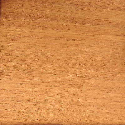 포토 JPG 해외이미지 나무 디자인 외관 벽 백그라운드 패턴 건축양식 자연 표면 추상 바닥 사람없음 내부 목재 장식 갈색 어둠 견과류 판넬 거친 널 낟알 질감 나무바닥 잡동사니 내추럴 수목 옛날 합판 해외포토 식물 건축 컬러 무늬 재료 생태계 파일형식 이미지허브