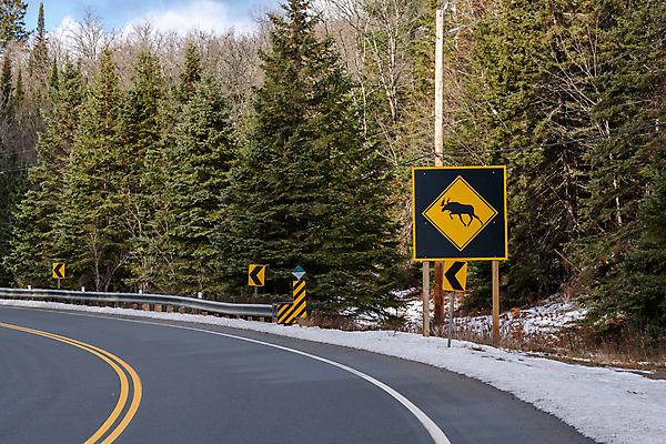 포토 JPG 해외이미지 나무 동물 도로 야생동물 여행 캐나다 겨울 포유류 교통시설 자연 숙이기 경고 안전 사람없음 야외 노란색 정보 시골 표지판 고속도로 황무지 숲 위험 충돌 심볼 사인 신호 도로표지판 다이아몬드 서명 건너기 루트 철책 해외포토 식물 계절 길 컬러 포즈 교통 컨셉 북아메리카 모션 알림판 보석 시설 생태계 파일형식 이미지허브