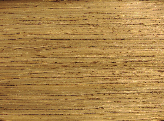 포토 JPG 해외이미지 나무 디자인 외관 벽 백그라운드 패턴 자연 표면 추상 바닥 사람없음 내부 목재 장식 갈색 견과류 판넬 거친 널 낟알 질감 나무바닥 잡동사니 내추럴 수목 옛날 합판 해외포토 식물 컬러 무늬 재료 생태계 파일형식 이미지허브