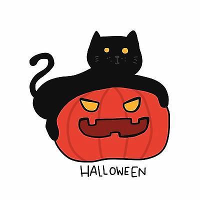 EPS 해외이미지 한마리 일러스트 호박 사람없음 반려동물 고양이 할로윈 승차 손그림 잭오랜턴 반려묘 해외일러스트 동물 1 채소 포유류 모션 파일형식 벡터 이미지허브