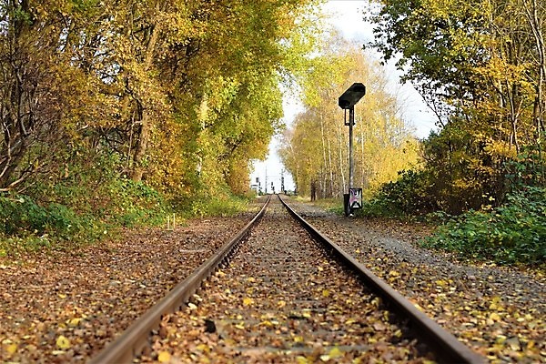 포토 JPG 해외이미지 나무 식물 계절 단풍 잎 교통시설 사람없음 야외 태양 맑음 기차 떠남 해외포토 자연요소 육상교통 교통 모션 날씨 대중교통 시설 파일형식 이미지허브
