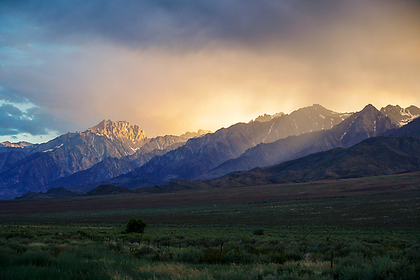 포토 JPG 해외이미지 나무 공원 여행 백그라운드 자연 하늘 산 파노라마 사람없음 야외 빛 컬러풀 태양 일출 계곡 미국 황혼 일몰 사막 황무지 저녁 캘리포니아 장면 폭풍 내추럴 웅장함 산맥 해외포토 자연요소 식물 공공시설 컬러 북아메리카 날씨 촬영기법 노을 야간 생태계 파일형식 이미지허브