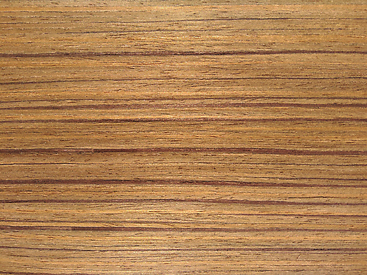 포토 JPG 해외이미지 나무 디자인 외관 벽 백그라운드 패턴 건축양식 자연 표면 추상 바닥 사람없음 내부 목재 장식 갈색 어둠 견과류 판넬 거친 널 낟알 질감 나무바닥 잡동사니 내추럴 수목 옛날 합판 해외포토 식물 건축 컬러 무늬 재료 생태계 파일형식 이미지허브