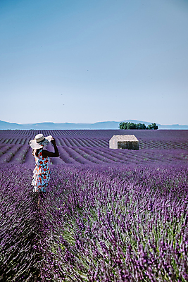 포토 JPG 해외이미지 식물 꽃 유럽 선 밭 농업 자연 주택 한명 풍경 야외 여름 파란색 컬러풀 뷰티 맑음 보라색 일몰 활발 프랑스 벚꽃 시골 개화 자주색 제비꽃 향수 그림 향기 아로마 아로마테라피 라벤더 프랑스어 줄서기 프로방스 해외포토 문자 1 계절 나라 산업 컬러 컨셉 모션 날씨 사람 건물 노을 화장품 허브 생태계 냄새 테라피 파일형식 이미지허브