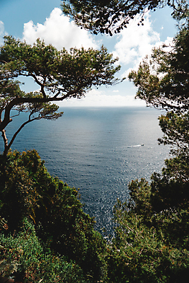 포토 JPG 해외이미지 나무 바다 여행 사람없음 물 여름 태양 이탈리아 탐험 보트 지중해 해외포토 자연요소 식물 계절 유럽 배_교통 파일형식 이미지허브