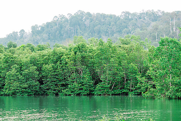 포토 JPG 해외이미지 나무 공원 호수 여행 백그라운드 잎 자연 하늘 산 사람없음 야외 초록색 물 파란색 강 뷰티 반사 환경 시골 숲 내추럴 해외포토 자연요소 식물 공공시설 컬러 생태계 파일형식 이미지허브