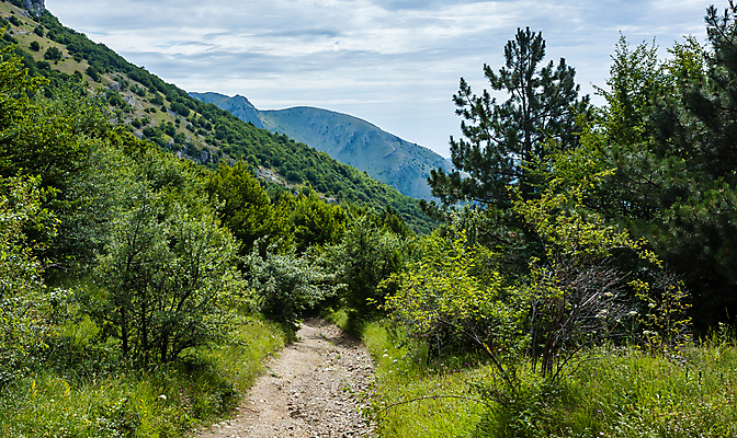 포토 JPG 해외이미지 도로 길 스포츠 여행 백그라운드 곡선 자국 자연 하늘 산 사람없음 야외 초록색 파란색 환경 계곡 하이킹 안개 시골 숲 오솔길 땅 언덕 산등성이 장면 절정 선두 해외포토 선 컬러 교통시설 레저 날씨 생태계 파일형식 이미지허브