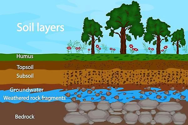EPS 해외이미지 나무 식물 교육 꽃 지구 모래 과학 십자가 농업 일러스트 부분 자연 날씨 풍경 그래픽 가로 환경 정원 흙 인포그래픽 수확 바위 플랫 계획 만화 유기농 원예 먼지 문제 지하 층 내추럴 땅바닥 지질학 막 전경 해외일러스트 웰빙 산업 컨셉 바닥 취미 돌_바위 생태계 파일형식 벡터 탑뷰 이미지허브