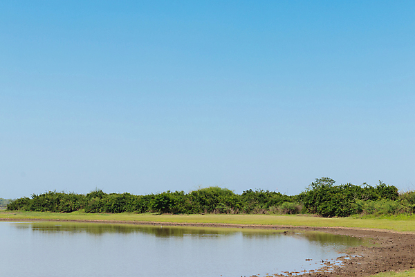 포토 JPG 해외이미지 나무 식물 구름 계절 백그라운드 자연 하늘 풍경 사람없음 야외 초록색 물 여름 강 반사 환경 맑음 봄 바위 숲 내추럴 해외포토 자연요소 컬러 날씨 돌_바위 생태계 파일형식 이미지허브