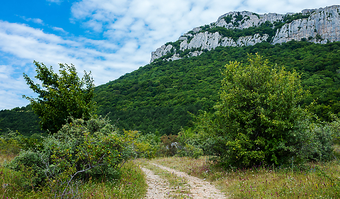 포토 JPG 해외이미지 도로 길 스포츠 여행 백그라운드 곡선 자국 자연 하늘 산 사람없음 야외 초록색 파란색 환경 계곡 하이킹 안개 시골 숲 오솔길 땅 언덕 산등성이 장면 절정 선두 해외포토 선 컬러 교통시설 레저 날씨 생태계 파일형식 이미지허브