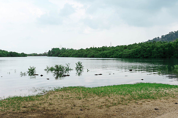 포토 JPG 해외이미지 나무 공원 호수 모래 바다 섬 여행 백그라운드 자연 하늘 휴가 산 파노라마 사람없음 초록색 물 파란색 강 뷰티 만 숲 전국 해외포토 자연요소 식물 공공시설 컬러 촬영기법 생태계 파일형식 이미지허브