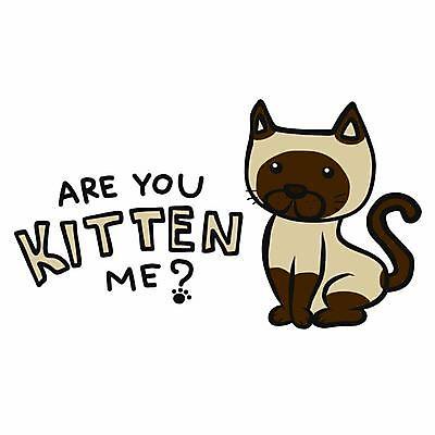 EPS 해외이미지 한마리 손글씨 일러스트 앉기 사람없음 반려동물 고양이 손그림 반려묘 해외일러스트 동물 1 포유류 모션 파일형식 벡터 이미지허브