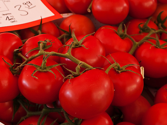 포토 JPG 해외이미지 토마토 채소 과일 건강 요리 사람없음 빨간색 주방 이탈리아 수프 해외포토 유럽 컬러 파일형식 이미지허브