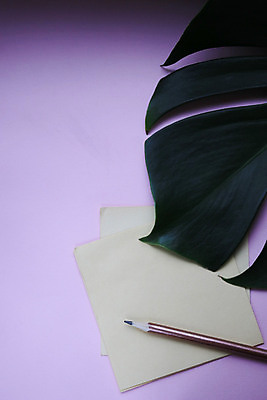 포토 JPG 해외이미지 식물 디자인 종이 백그라운드 컨셉 잎 꽃무늬 비즈니스 텍스트 학교 자연 유리 주택 사람없음 목재 장식 초록색 노트북 스터디 사무실 연필 유행 우주 쪽지 공책 공백 흰색 램프 기록 업무 작업 작업실 확대 책상 오브젝트 클립 위치 이국적 인공 주도 카피스페이스 해외포토 나무 교육 꽃 컬러 가구 무늬 재료 재질 문구용품 학용품 조명 건물 전자제품 학습 필기구 예절 생태계 파일형식 이미지허브