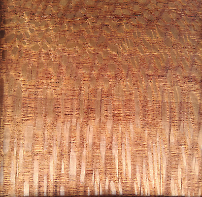 포토 JPG 해외이미지 나무 디자인 외관 벽 백그라운드 패턴 건축양식 자연 표면 추상 바닥 사람없음 내부 목재 장식 갈색 어둠 견과류 판넬 거친 널 낟알 질감 나무바닥 잡동사니 내추럴 수목 옛날 합판 해외포토 식물 건축 컬러 무늬 재료 생태계 파일형식 이미지허브