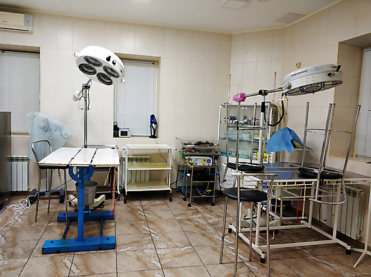 포토 JPG 해외이미지 직업 과학 백그라운드 탁자 조명 기술 실내 병원 사람없음 내부 치료 파란색 빛 약 건강관리 방 장비 의사 기구 공구 침대 램프 긴급 업무 수술 보호 오브젝트 서비스 준비 외과 수의사 살균 해외포토 컬러 가구 컨셉 의학 건강 관리 의료진 도구 작업 파일형식 이미지허브