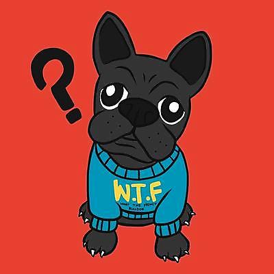 EPS 해외이미지 한마리 반려견 일러스트 사람없음 빨간색 반려동물 물음표 강아지 니트 호기심 손그림 의문 프렌치불독 해외일러스트 동물 1 기호 감정 컬러 컨셉 상의 개 불독 파일형식 벡터 이미지허브