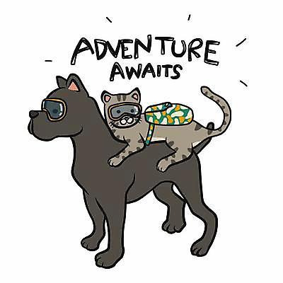 EPS 해외이미지 반려견 두마리 일러스트 고글 사람없음 반려동물 고양이 강아지 승차 손그림 백팩 반려묘 해외일러스트 동물 2 가방 포유류 모션 개 파일형식 벡터 이미지허브