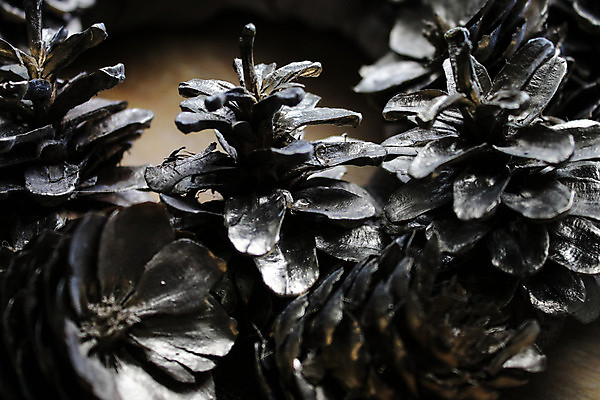 포토 JPG 해외이미지 나무 전통 디자인 계절 리본 백그라운드 잎 크리스마스 겨울 공 휴가 프레임 선물 사람없음 목재 장식 빨간색 문 축제 화환 기쁨 흰색 나뭇가지 축하 인사 소나무 원형 황금 닫기 12월 심볼 오브젝트 솔방울 전나무 원뿔 고립 해외포토 도형 식물 기념일 꽃 감정 컬러 컨셉 재료 모션 예절 날짜 파일형식 이미지허브