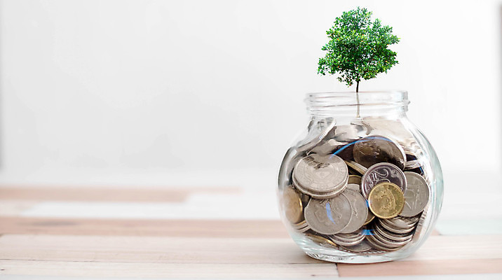 포토 JPG 해외이미지 식물 백그라운드 컨셉 잎 돈 비즈니스 자연 성공 사람없음 초록색 금융 경제 쌓기 동전 저축 성장 흰색 항아리 절약 재산 은퇴 투자 관심 자금 해외포토 컬러 모션 도자기 생태계 파일형식 이미지허브