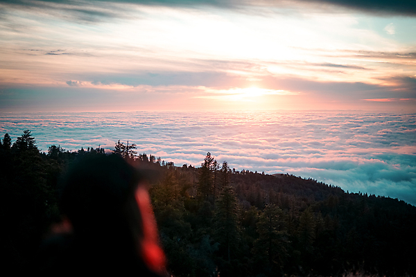 포토 JPG 해외이미지 자연 산 사람없음 빛 태양 환경 일몰 안개 보호 숲 캘리포니아 태평양 해외포토 자연요소 바다 컨셉 날씨 노을 미국 생태계 파일형식 이미지허브