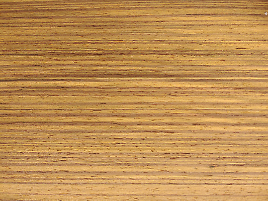 포토 JPG 해외이미지 나무 디자인 외관 벽 백그라운드 패턴 건축양식 자연 표면 추상 바닥 사람없음 내부 목재 장식 갈색 어둠 견과류 판넬 거친 널 낟알 질감 나무바닥 잡동사니 내추럴 수목 옛날 합판 해외포토 식물 건축 컬러 무늬 재료 생태계 파일형식 이미지허브