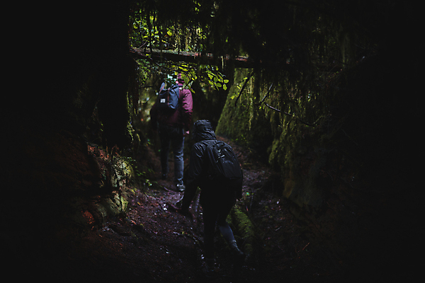 포토 JPG 해외이미지 여행 사람없음 어둠 하이킹 탐험 터널 동굴 숲 해외포토 길 레저 파일형식 이미지허브