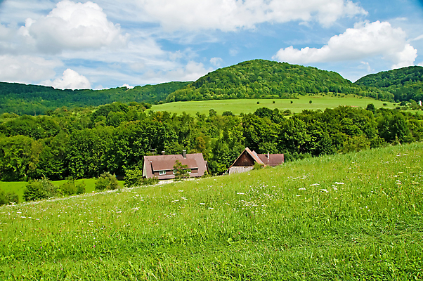 포토 JPG 해외이미지 나무 밭 하늘 프레임 파노라마 사람없음 초록색 파란색 평화 나뭇가지 시골 오픈 땅 언덕 싱글 깊이 해외포토 식물 컬러 컨셉 농업 촬영기법 파일형식 이미지허브
