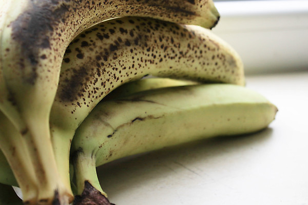 포토 JPG 해외이미지 음식 백그라운드 다이어트 과일 재료 자연 디저트 건조 바나나 건강 육류 사람없음 가로 초록색 노란색 껍질 흰색 신선 달콤 맛 아침식사 자르기 다발 먹기 피부 오브젝트 유기농 슛 흙더미 내추럴 고립 숙성 채식주의자 해외포토 웰빙 컬러 컨셉 식재료 모션 신체부위 식사 흙 생태계 채식 파일형식 더미 이미지허브