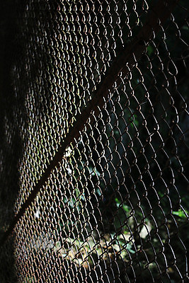 포토 JPG 해외이미지 동물 디자인 산업 선 벽 백그라운드 패턴 자연 벽지 검은배경 추상 안전 사람없음 야외 빛 울타리 금속 검은색 자유 흰색 토끼 그물 보호 접속 철 교도소 감옥 묘사 흰배경 그림 질감 보안 철사 망사 고립 그런지 옛날 철강 아연 해외포토 컬러 컨셉 무늬 포유류 재질 담장 반려동물 직물 생태계 영양소 파일형식 이미지허브