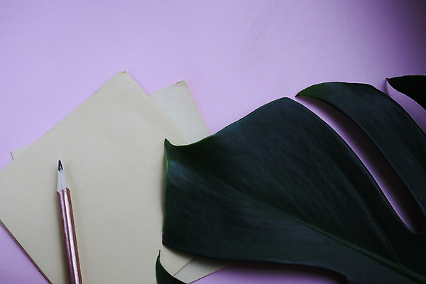 포토 JPG 해외이미지 식물 디자인 종이 백그라운드 컨셉 잎 꽃무늬 비즈니스 텍스트 학교 자연 유리 주택 사람없음 목재 장식 초록색 노트북 스터디 사무실 연필 유행 우주 쪽지 공책 공백 흰색 램프 기록 업무 작업 작업실 확대 책상 오브젝트 클립 위치 이국적 인공 주도 카피스페이스 해외포토 나무 교육 꽃 컬러 가구 무늬 재료 재질 문구용품 학용품 조명 건물 전자제품 학습 필기구 예절 생태계 파일형식 이미지허브