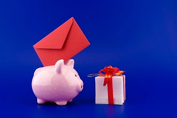 포토 JPG 해외이미지 전통 디자인 종이 분홍색 백그라운드 컨셉 돈 비즈니스 성공 그래프 봉투 주택 아이디어 선물 안전 사람없음 빨간색 금융 경제 파란색 세트 상자 저축 돼지저금통 인사 돼지 행운 시장 재산 편지 심볼 사인 투자 월급 빚 무료 해외포토 컬러 포유류 건물 저금통 예절 파일형식 이미지허브