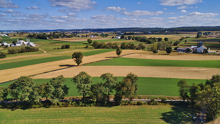 포토 JPG 해외이미지 식물 구름 계절 산업 문화 음식 백그라운드 잎 밭 농업 채소 자연 하늘 옥수수 풍경 사람없음 야외 초록색 여름 파란색 농작물 농장 농경지 환경 맑음 봄 수확 성장 시골 신선 낟알 땅 유기농 장면 내추럴 드론 밭일 줄서기 수평선 세련 해외포토 자연요소 웰빙 컬러 모션 날씨 곡류 생태계 파일형식 이미지허브