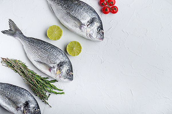 포토 JPG 해외이미지 방울토마토 사람없음 공백 허브 흰배경 날것 도미 라임 카피스페이스 해외포토 식물 백그라운드 토마토 과일 어류 흰색 파일형식 이미지허브