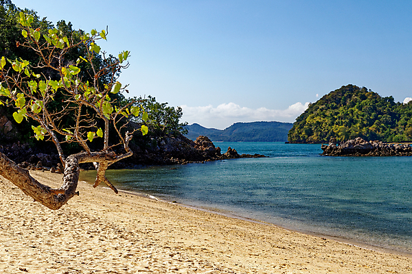 포토 JPG 해외이미지 나무 아시아 모래 바다 섬 여행 태국 자연 하늘 휴가 휴식 사람없음 야외 물 파란색 모래사장 태양 뷰티 여행객 평화 고요 만 보트 에메랄드 안다만 터키석 파라다이스 해외포토 자연요소 식물 나라 컬러 컨셉 배_교통 사람 보석 생태계 파일형식 이미지허브