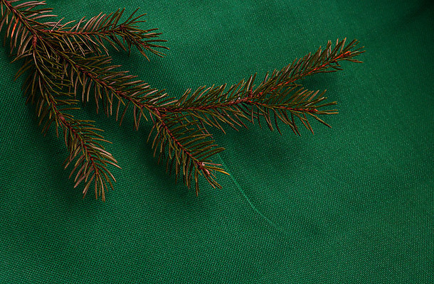 포토 JPG 해외이미지 나무 식물 디자인 배너 백그라운드 크리스마스 겨울 자연 표면 휴가 새해 프레임 사람없음 초록색 크리스마스트리 유행 축제 화환 공백 수확 나뭇가지 직물 소나무 실 삼베 에코 질감 엽서 걸레 솜털 내추럴 구성 옛날 생존 가문비나무 스타일 해외포토 계절 기념일 꽃 컬러 농업 환경 편지 청소도구 생태계 파일형식 천_직물 이미지허브