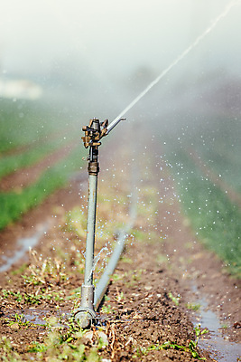 포토 JPG 해외이미지 식물 산업 음식 밭 농업 자연 건조 사람없음 물 농장 환경 농사 흙 봄 성장 시골 뜨거움 땅 물주기 유기농 생태계 유지 땅바닥 밭일 해외포토 자연요소 웰빙 계절 모션 바닥 파일형식 이미지허브