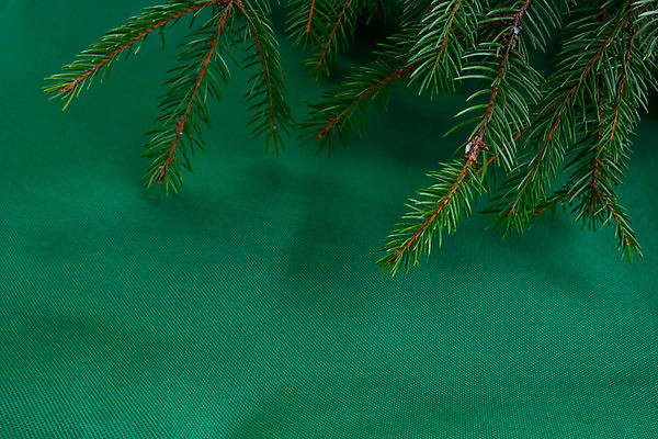 포토 JPG 해외이미지 나무 식물 디자인 배너 백그라운드 크리스마스 겨울 자연 표면 휴가 새해 프레임 사람없음 초록색 크리스마스트리 유행 축제 화환 공백 수확 나뭇가지 직물 소나무 실 삼베 에코 질감 엽서 걸레 솜털 내추럴 구성 옛날 생존 가문비나무 스타일 해외포토 계절 기념일 꽃 컬러 농업 환경 편지 청소도구 생태계 파일형식 천_직물 이미지허브