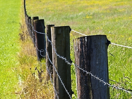 포토 JPG 해외이미지 식물 사람없음 목재 초록색 울타리 농장 농경지 시골 해외포토 나무 컬러 농업 재료 담장 파일형식 이미지허브