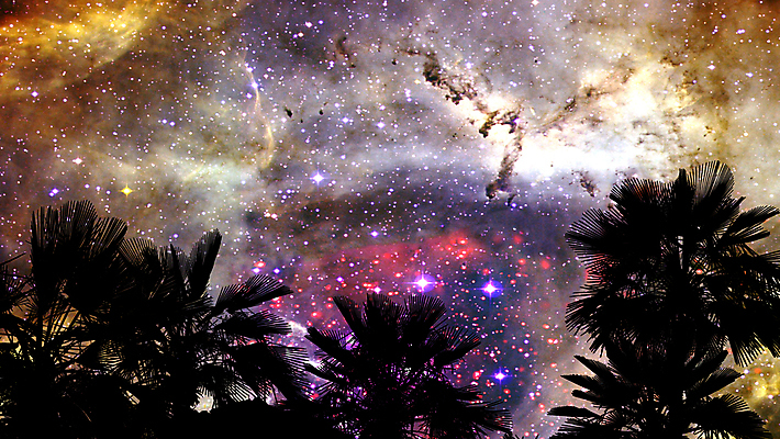 포토 JPG 해외이미지 나무 식물 실루엣 분홍색 과학 백그라운드 밭 자연 하늘 산 사람없음 빨간색 물 빛 우주 어둠 침묵 황혼 새벽 달 야간 저녁 숲 신비 댐 기아 가득함 언덕 은하계 점성술 마법 성운 해외포토 자연요소 공공시설 컬러 컨셉 농업 촬영기법 소리 일몰 사회이슈 생태계 파일형식 이미지허브