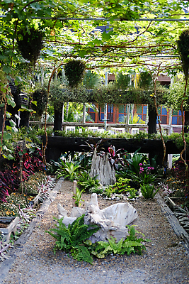 포토 JPG 해외이미지 나무 식물 디자인 공원 꽃 잎 건축양식 자연 사람없음 야외 목재 장식 환경 정원 성장 원예 해외포토 공공시설 건축 재료 취미 생태계 파일형식 이미지허브