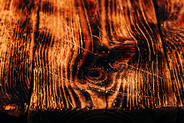 포토 JPG 해외이미지 나무 근접촬영 사람없음 목재 갈색 질감 카피스페이스 해외포토 식물 뷰포인트 컬러 재료 공백 파일형식 이미지허브