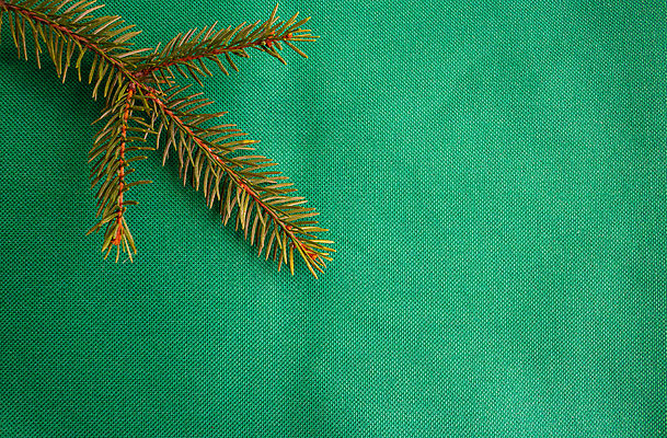 포토 JPG 해외이미지 나무 식물 디자인 배너 백그라운드 크리스마스 겨울 자연 표면 휴가 새해 프레임 사람없음 초록색 크리스마스트리 유행 축제 화환 공백 수확 나뭇가지 직물 소나무 실 삼베 에코 질감 엽서 걸레 솜털 내추럴 구성 옛날 생존 가문비나무 스타일 해외포토 계절 기념일 꽃 컬러 농업 환경 편지 청소도구 생태계 파일형식 천_직물 이미지허브